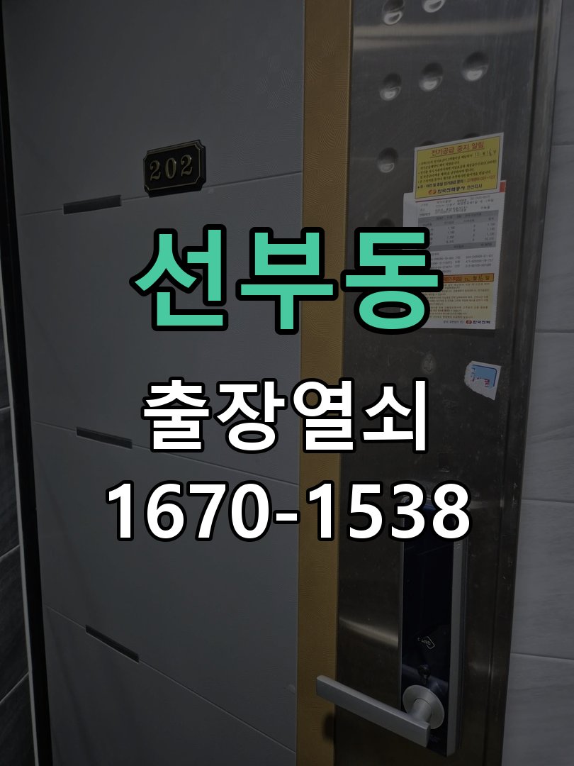 선부동 보조키 특수키 안전고리 추가 설치 특수 핀 실린더 보조키 및 빗장형 고급 안전고리 정밀 점검 및 교체