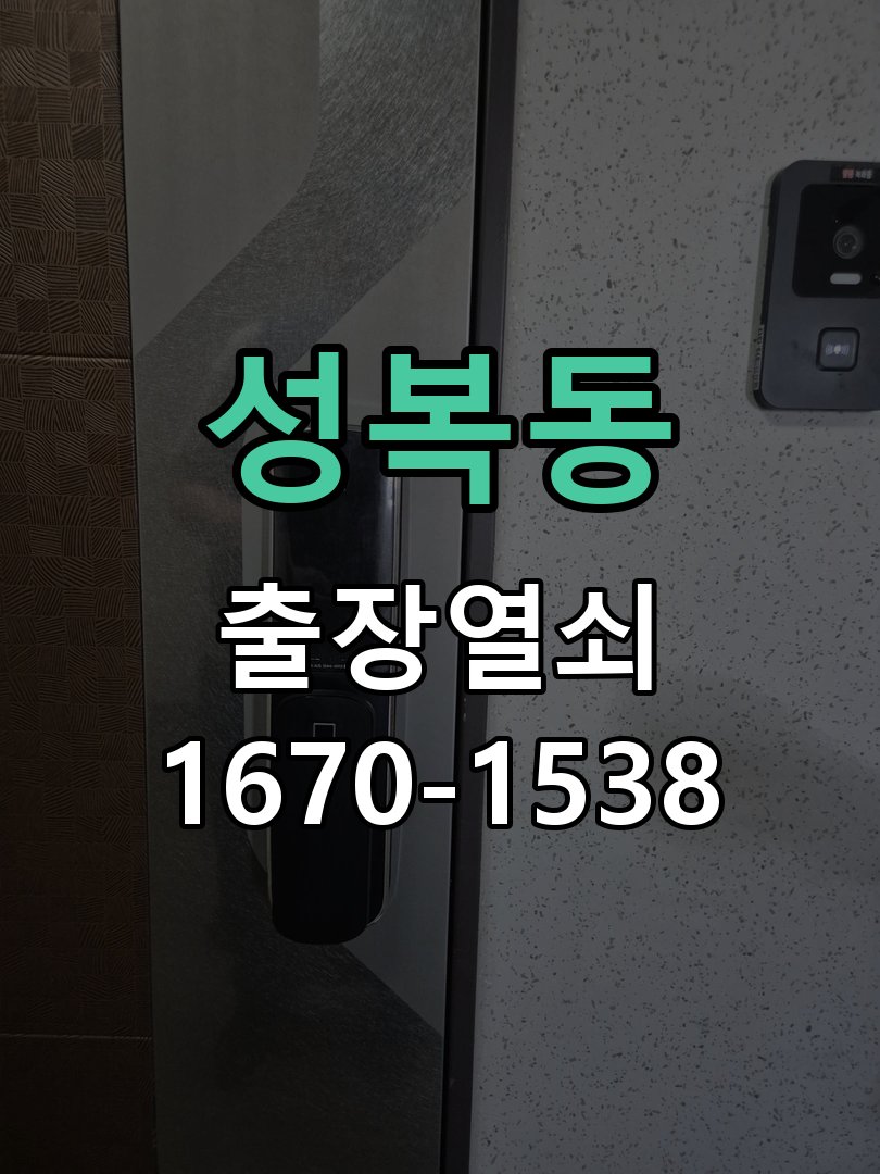 성복동 보조키 특수키 안전고리 추가 설치 특수 핀 실린더 보조키 및 빗장형 고급 안전고리 정밀 점검 및 교체