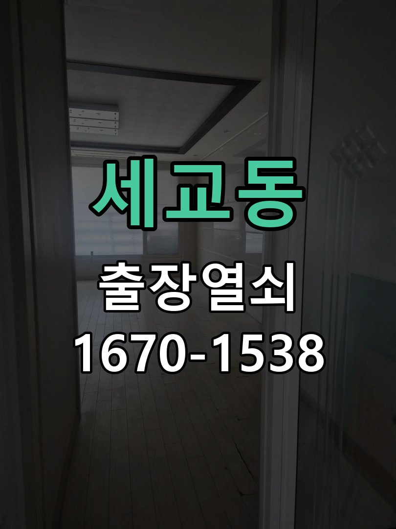 세교동 창고 대문 개폐기 열쇠 고장 교체 AC 220V/DC 12V 호환 전자 대문 개폐기 정밀 점검 및 교체