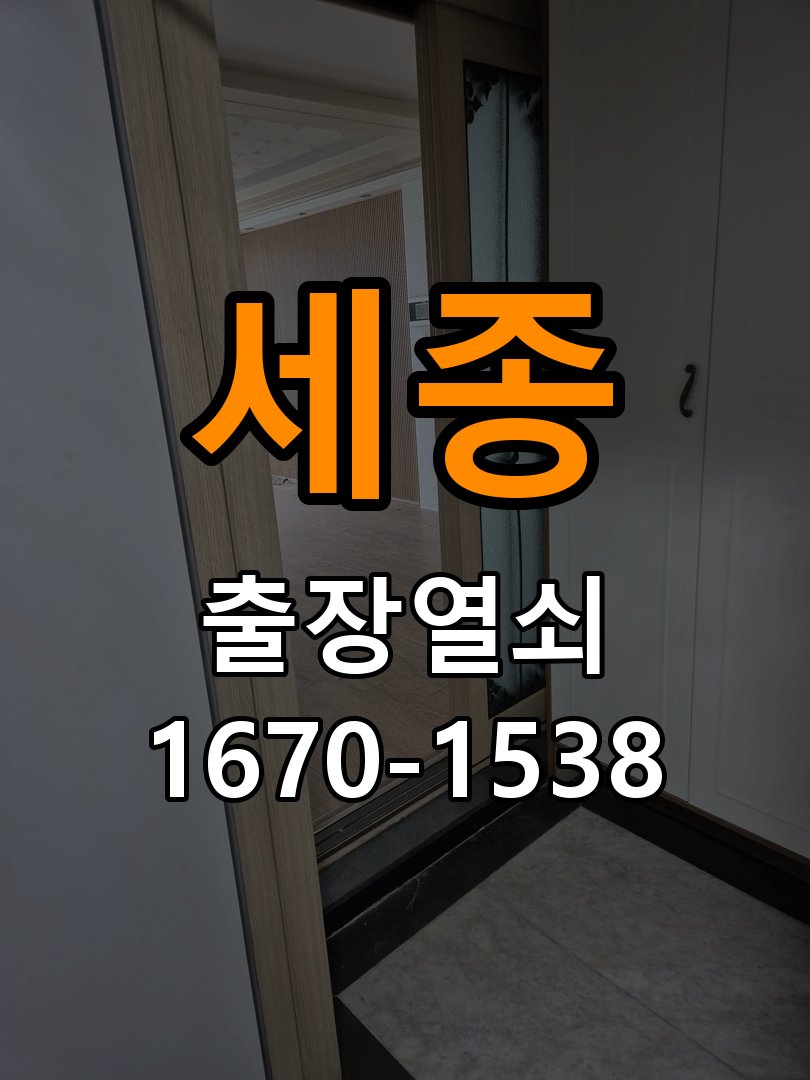 세종 창고 대문 개폐기 열쇠 고장 교체 AC 220V/DC 12V 호환 전자 대문 개폐기 정밀 점검 및 교체