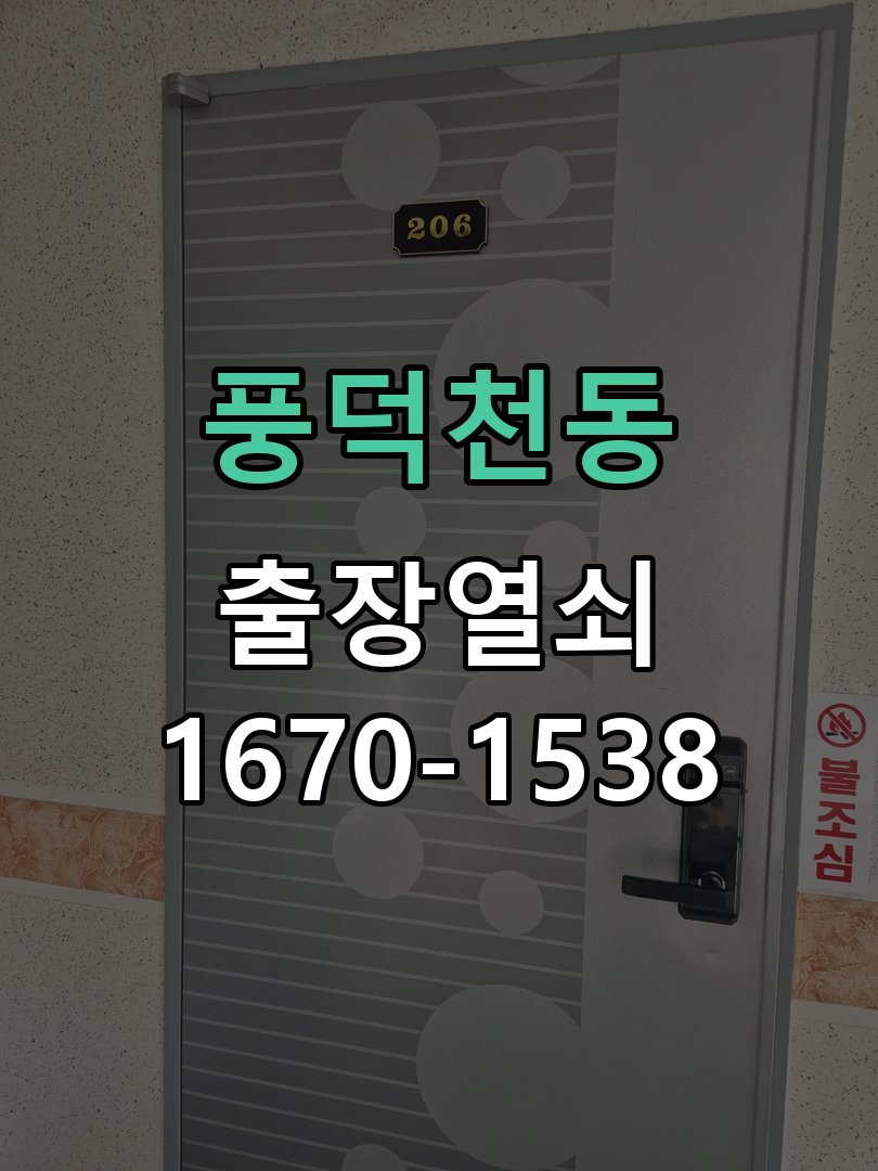 풍덕천동 보조키 특수키 안전고리 추가 설치 도어락 외에 추가적인 이중 보안 잠금장치 필요 현장 출장