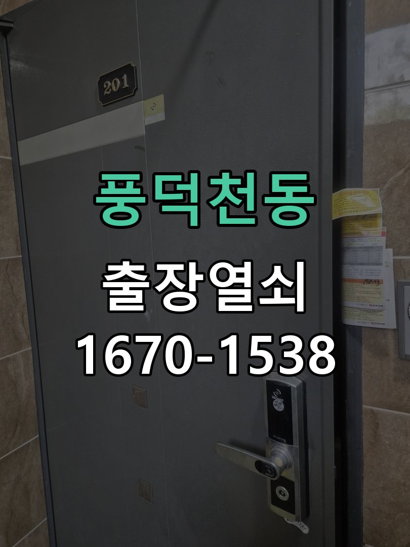 풍덕천동 보조키 특수키 안전고리 추가 설치 특수 핀 실린더 보조키 및 빗장형 고급 안전고리 정밀 점검 및 교체