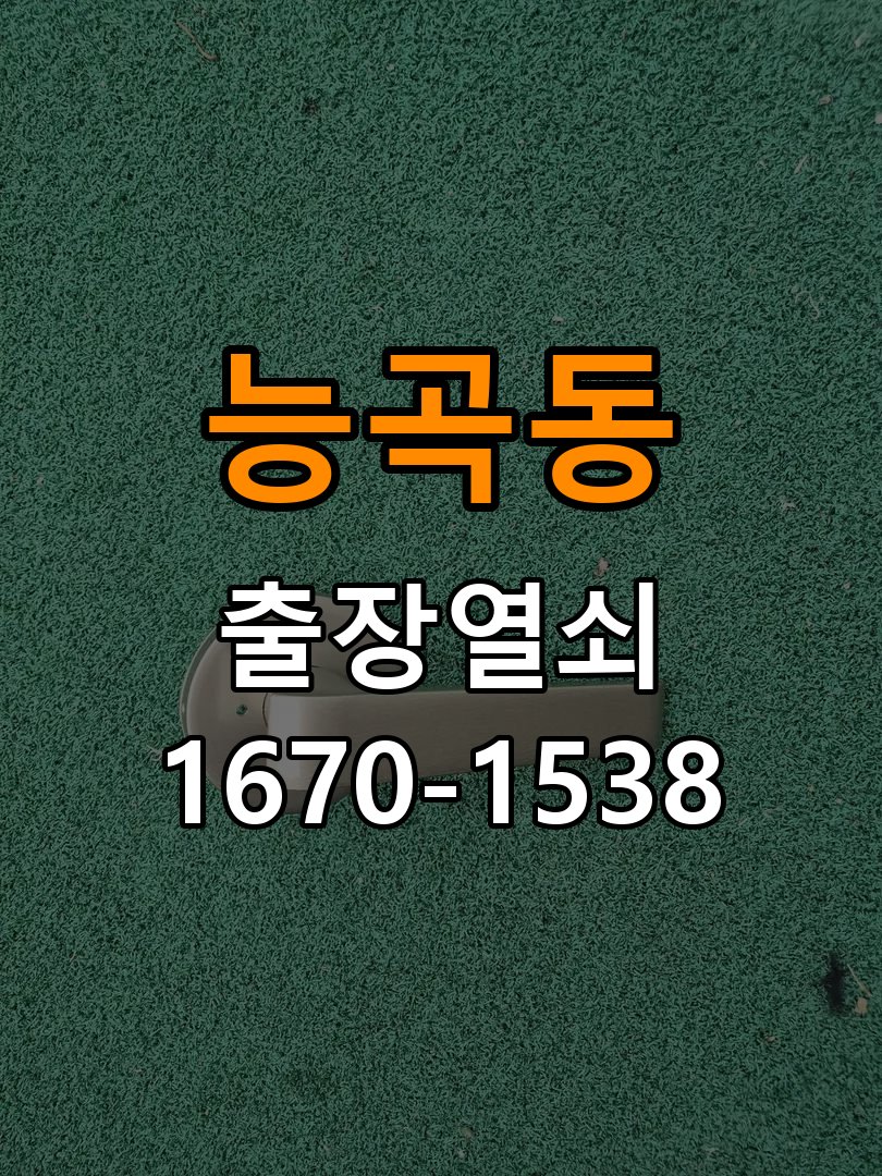 능곡동 도어락 이중잠금 내부잠금 해제 방법 작업 완료 후 정상 작동 확인