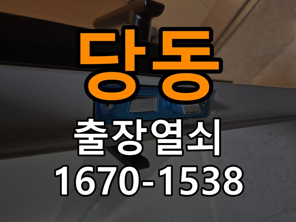 당동 계단식 아파트 현관문 고무패킹 교체 후 잠금이 안 되는 이유 - 비용 견적 전 준비사항 호환 패킹과 잠금받이 정밀 점검 및 교체