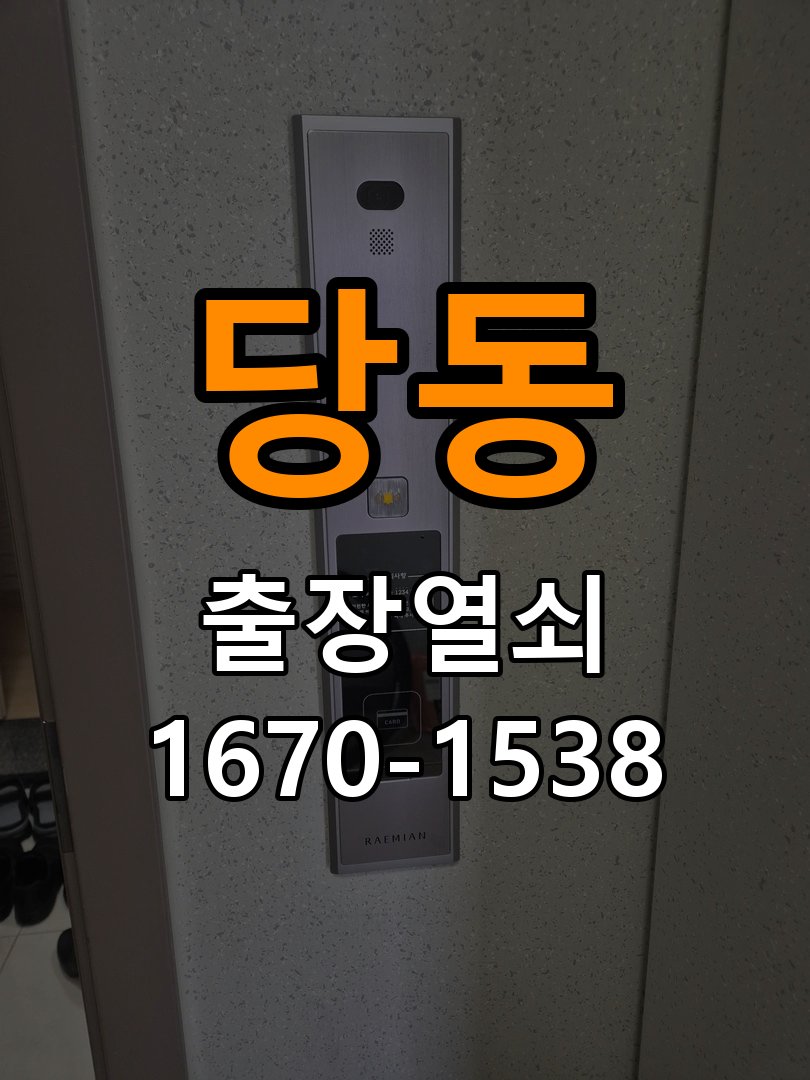 당동 계단식 아파트 현관문 고무패킹 교체 후 잠금이 안 되는 이유 - 비용 견적 전 준비사항 작업 완료 후 정상 작동 확인