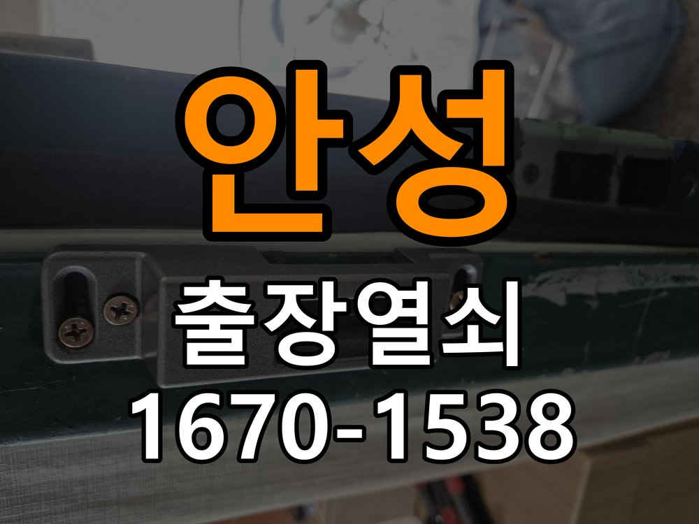 안성 창고 대문 개폐기 열쇠 고장 교체 AC 220V/DC 12V 호환 전자 대문 개폐기 정밀 점검 및 교체