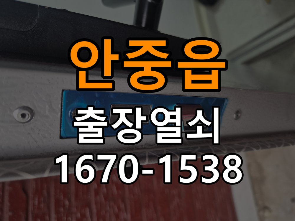 안중읍 보조키 특수키 안전고리 추가 설치 도어락 외에 추가적인 이중 보안 잠금장치 필요 현장 출장