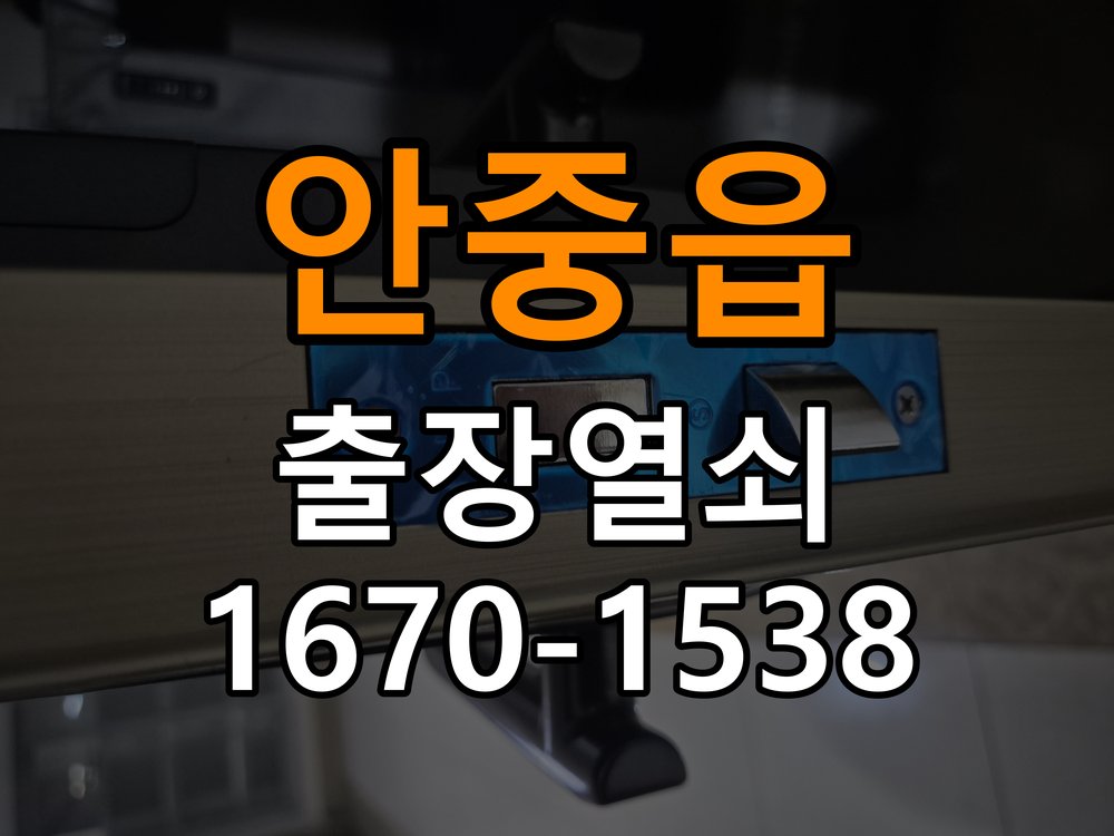 안중읍 보조키 특수키 안전고리 추가 설치 특수 핀 실린더 보조키 및 빗장형 고급 안전고리 정밀 점검 및 교체