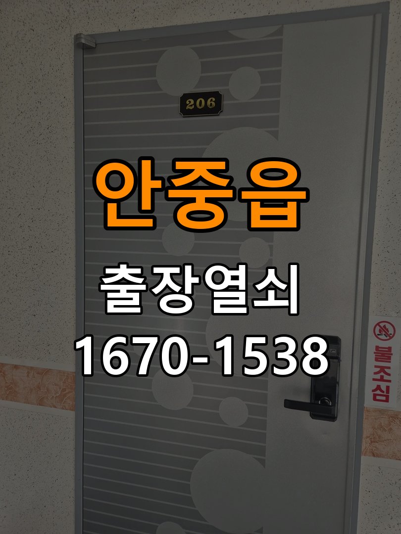 안중읍 보조키 특수키 안전고리 추가 설치 작업 완료 후 정상 작동 확인