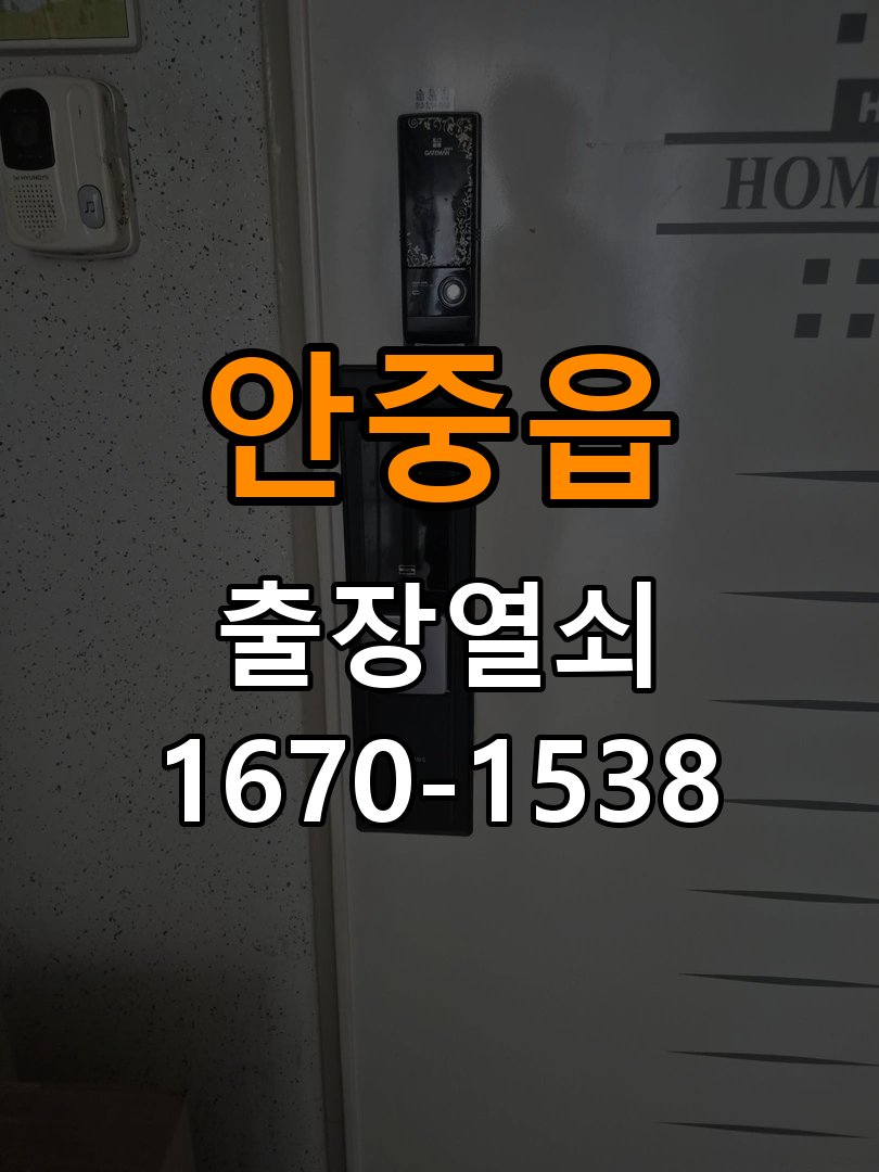 안중읍 보조키 특수키 안전고리 추가 설치 작업 완료 후 정상 작동 확인