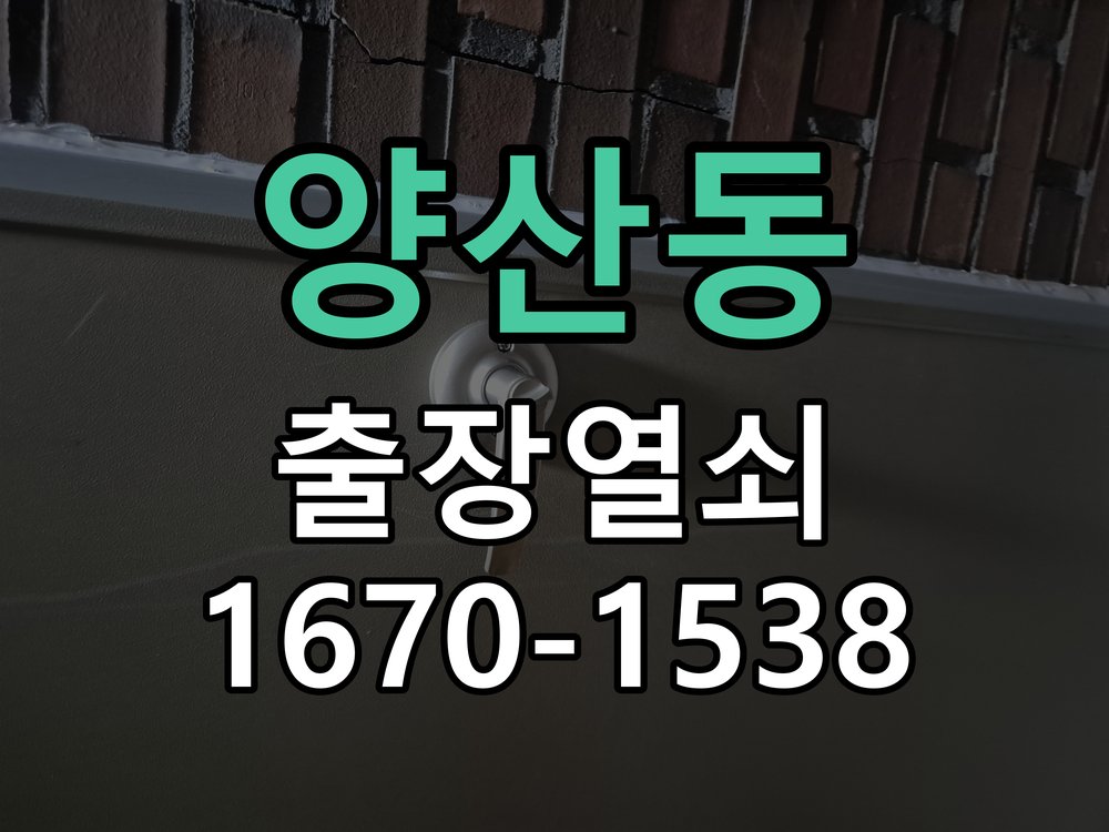 양산동 사무실 유리문 번호키 자동수동 모드 설정 상가 강화유리문 전용 도어락 모드 재설정 및 사용자 교육 정밀 점검 및 교체