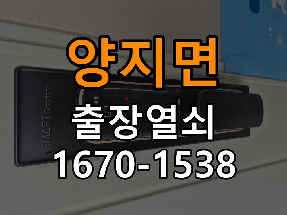 양지면열쇠 반지하 주택 도어락 소리 안남 무음모드 해제 및 조치 방법 참고 사진 1