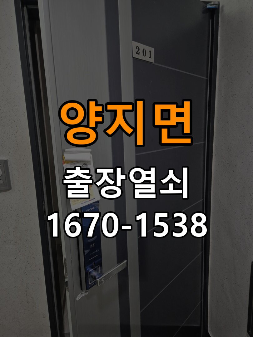 양지면열쇠 반지하 주택 도어락 소리 안남 무음모드 해제 및 조치 방법 참고 사진 5