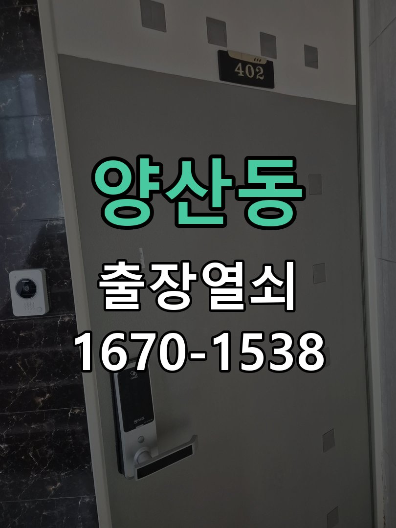 양산동 보조키 특수키 안전고리 추가 설치 도어락 외에 추가적인 이중 보안 잠금장치 필요 현장 출장