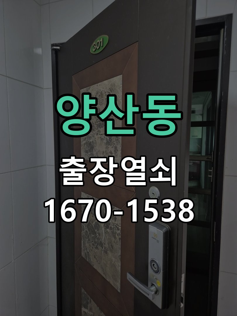 양산동 보조키 특수키 안전고리 추가 설치 특수 핀 실린더 보조키 및 빗장형 고급 안전고리 정밀 점검 및 교체
