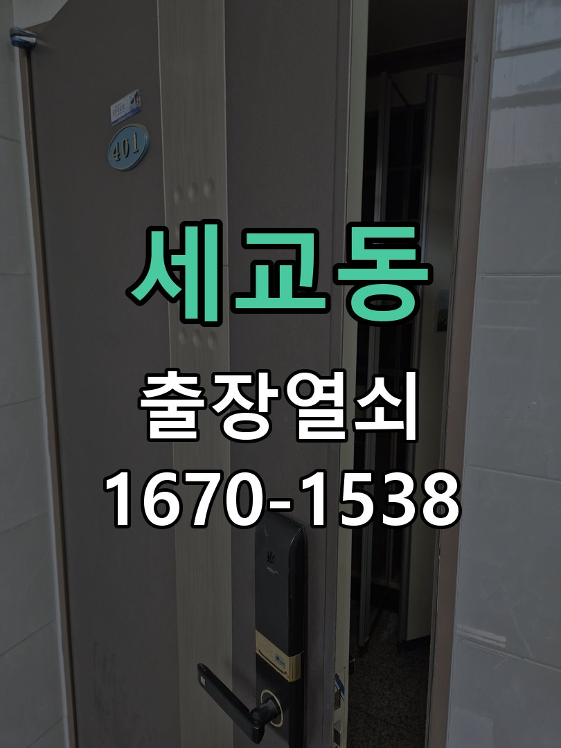 세교동 현관문 보조키 열쇠 분실 키통 교체 도어락 위의 특수 보조키 열쇠를 잃어버려 문을 열지 못함 현장 출장