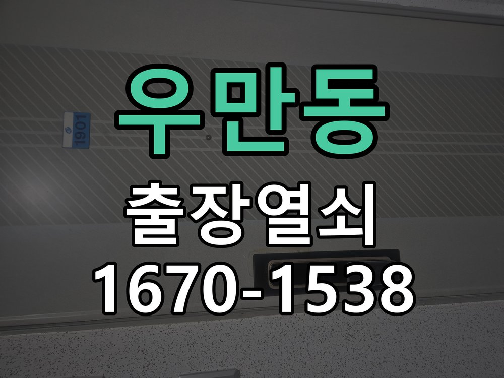 우만동 보조키 특수키 안전고리 추가 설치 특수 핀 실린더 보조키 및 빗장형 고급 안전고리 정밀 점검 및 교체