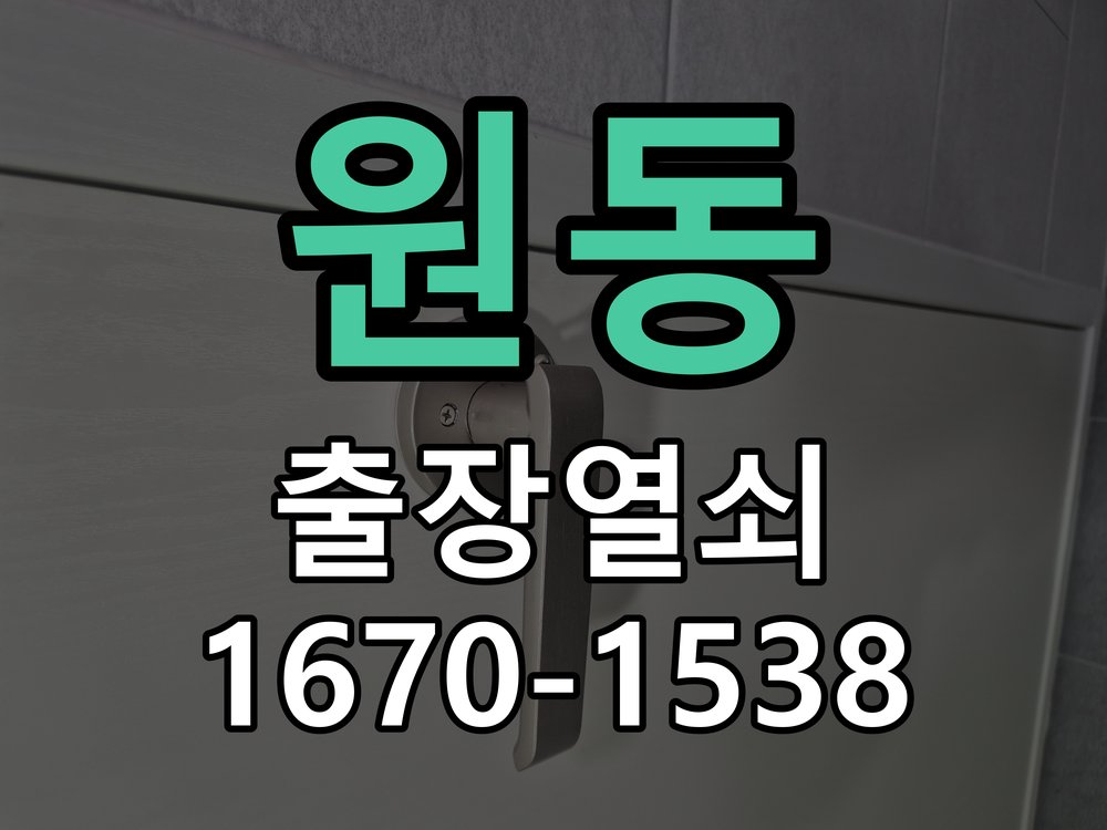 원동 화장실 핀 잠김 젓가락으로 안열릴때 작업 완료 후 정상 작동 확인