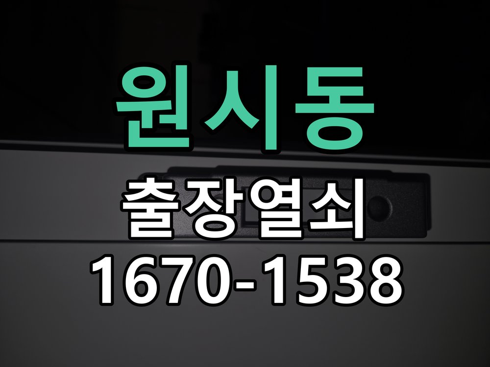 원시동 보조키 특수키 안전고리 추가 설치 특수 핀 실린더 보조키 및 빗장형 고급 안전고리 정밀 점검 및 교체