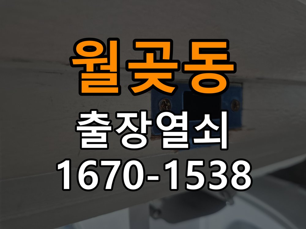 월곶동 보조키 특수키 안전고리 추가 설치 도어락 외에 추가적인 이중 보안 잠금장치 필요 현장 출장