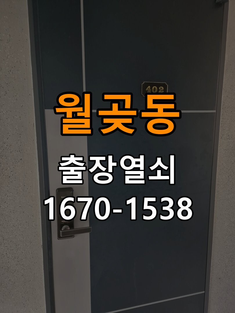 월곶동 보조키 특수키 안전고리 추가 설치 특수 핀 실린더 보조키 및 빗장형 고급 안전고리 정밀 점검 및 교체