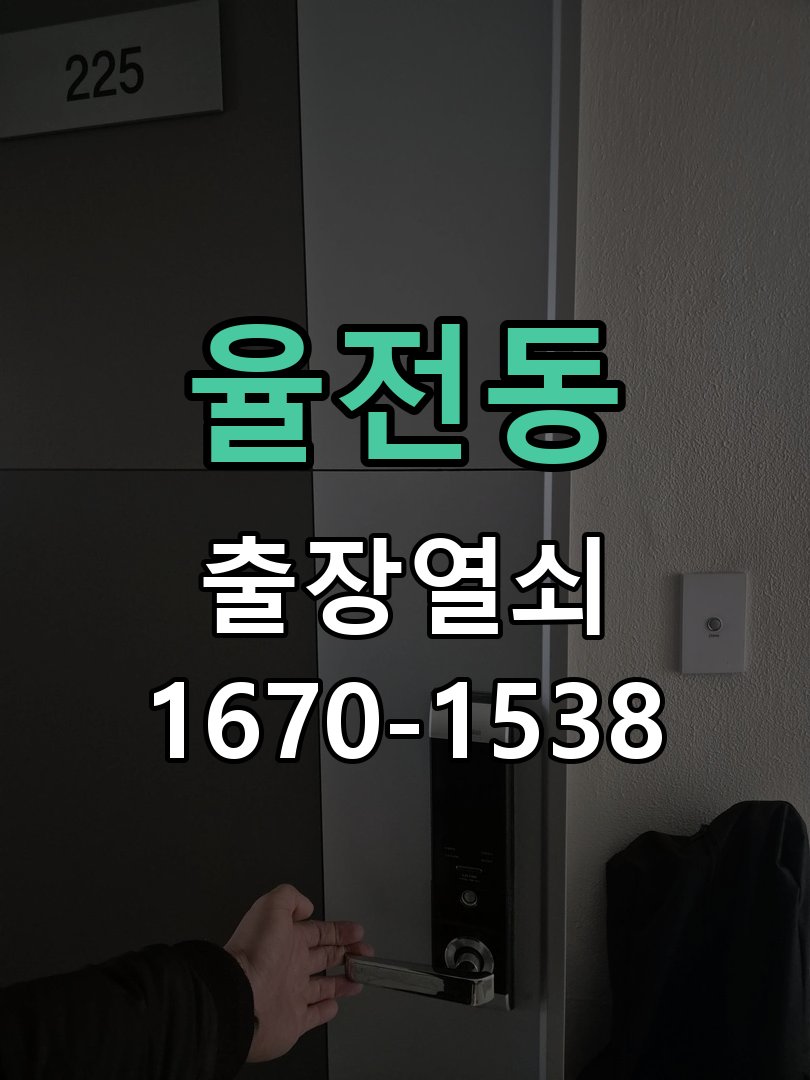 율전동 창고 대문 개폐기 열쇠 고장 교체 AC 220V/DC 12V 호환 전자 대문 개폐기 정밀 점검 및 교체