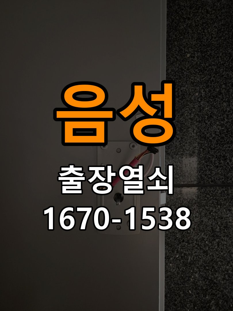 음성 현관문 보조키 열쇠 분실 키통 교체 특수 딤플키 실린더 보조키 교체 정밀 점검 및 교체