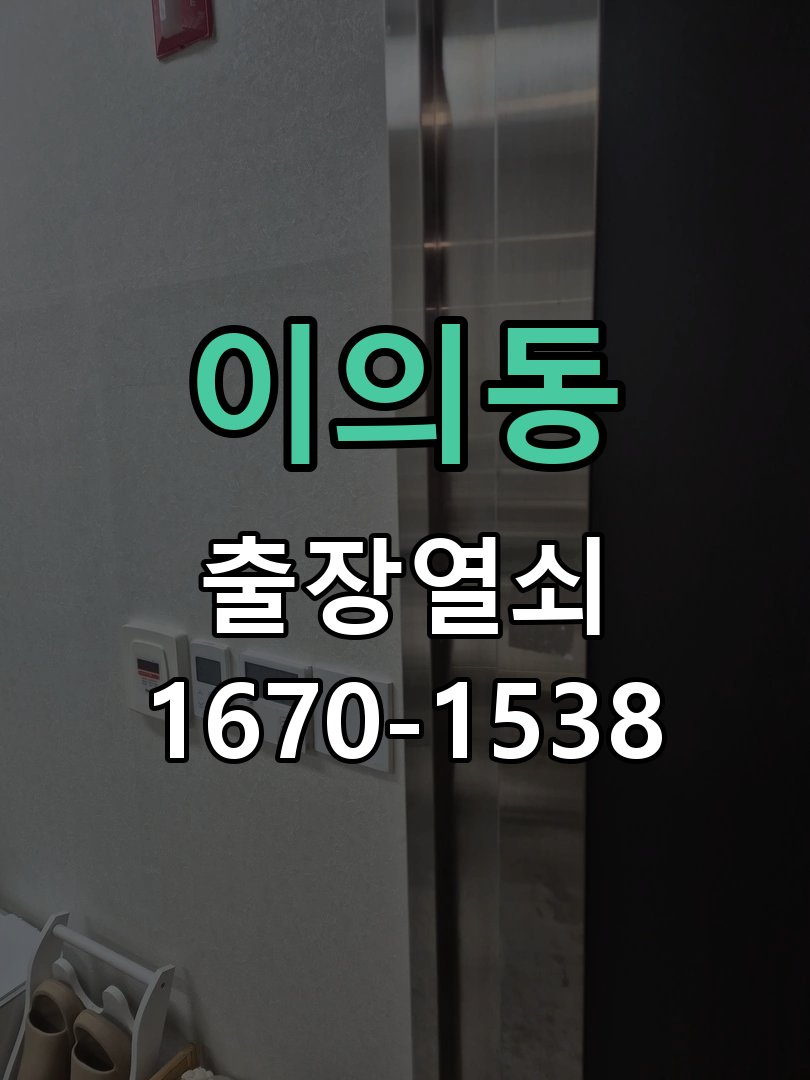 이의동 보조키 특수키 안전고리 추가 설치 특수 핀 실린더 보조키 및 빗장형 고급 안전고리 정밀 점검 및 교체