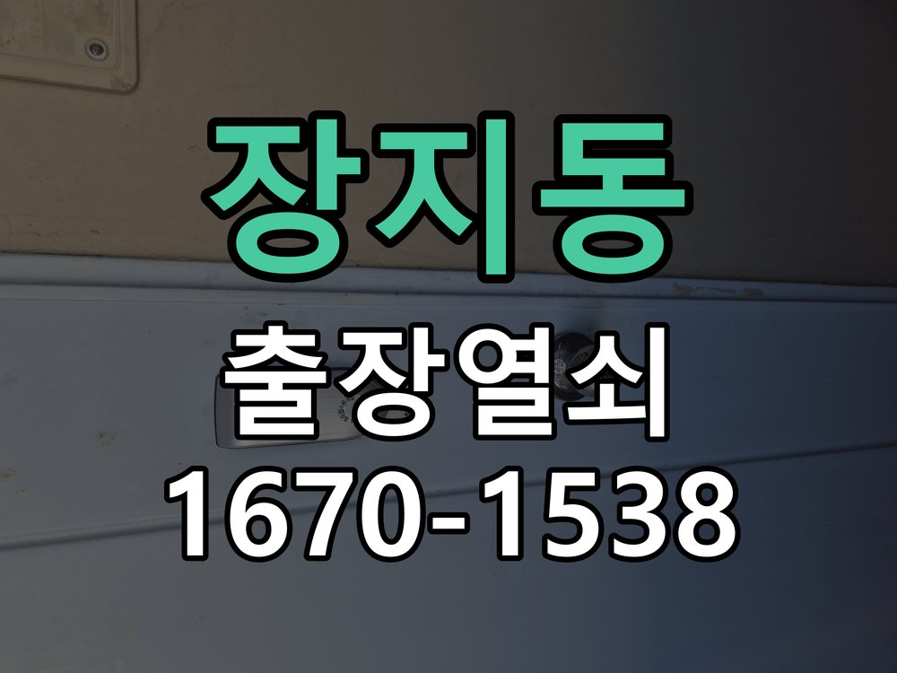장지동 보조키 특수키 안전고리 추가 설치 도어락 외에 추가적인 이중 보안 잠금장치 필요 현장 출장