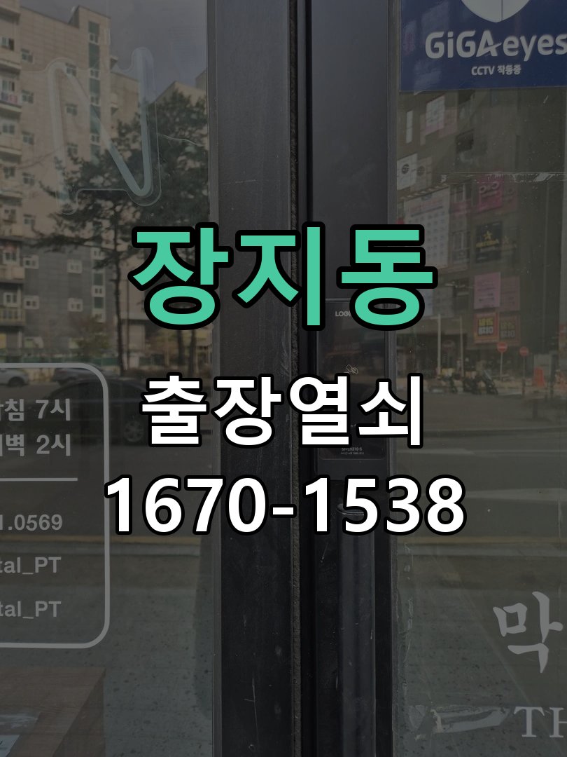 장지동 보조키 특수키 안전고리 추가 설치 특수 핀 실린더 보조키 및 빗장형 고급 안전고리 정밀 점검 및 교체