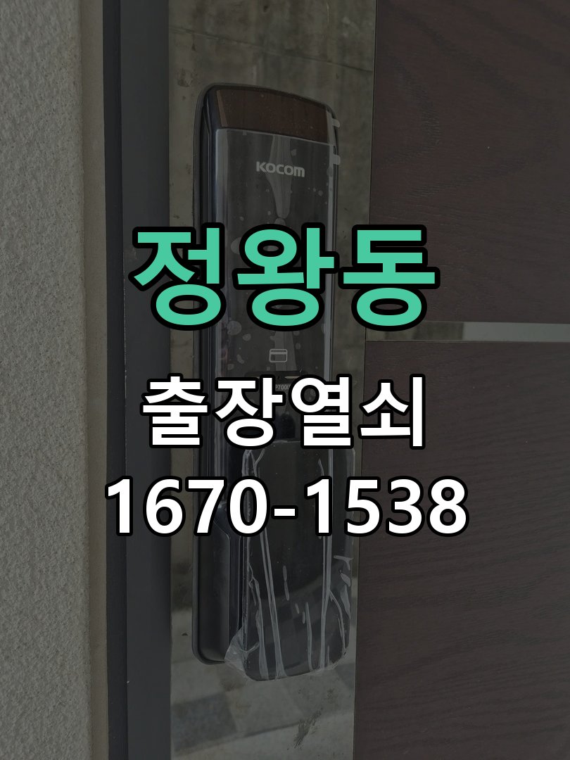 정왕동 보조키 특수키 안전고리 추가 설치 도어락 외에 추가적인 이중 보안 잠금장치 필요 현장 출장
