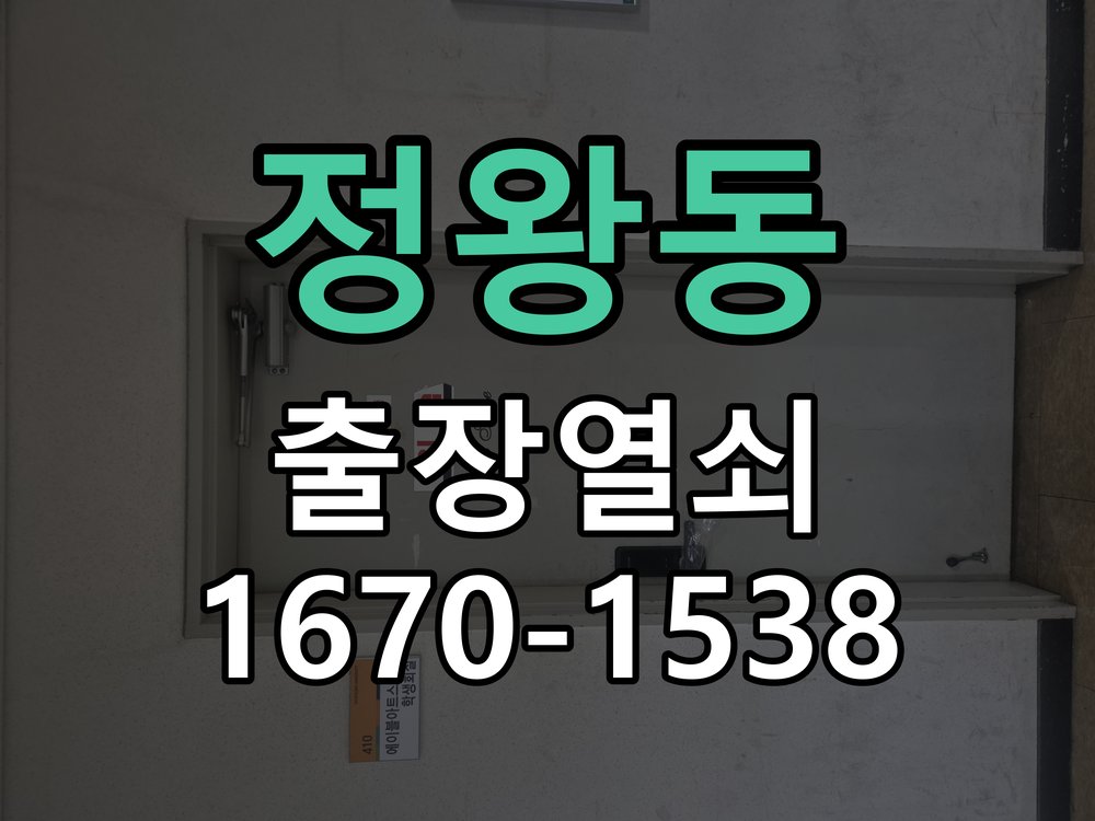 정왕동 보조키 특수키 안전고리 추가 설치 특수 핀 실린더 보조키 및 빗장형 고급 안전고리 정밀 점검 및 교체