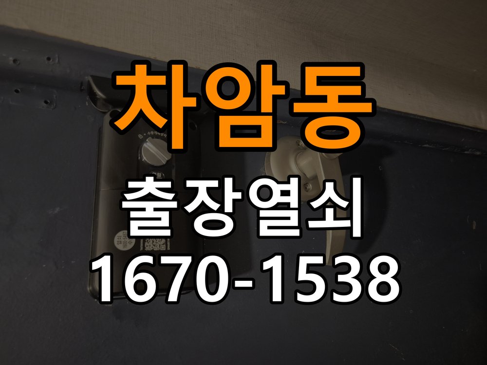 차암동 양문형 유리문 도어락 잠금 위치 어긋남 점검 - 오래된 제품 점검 기준 유리문 잠금받이와 힌지 정밀 점검 및 교체