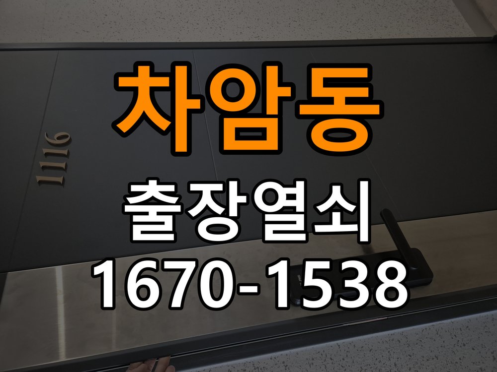 차암동 창고 대문 개폐기 열쇠 고장 교체 AC 220V/DC 12V 호환 전자 대문 개폐기 정밀 점검 및 교체