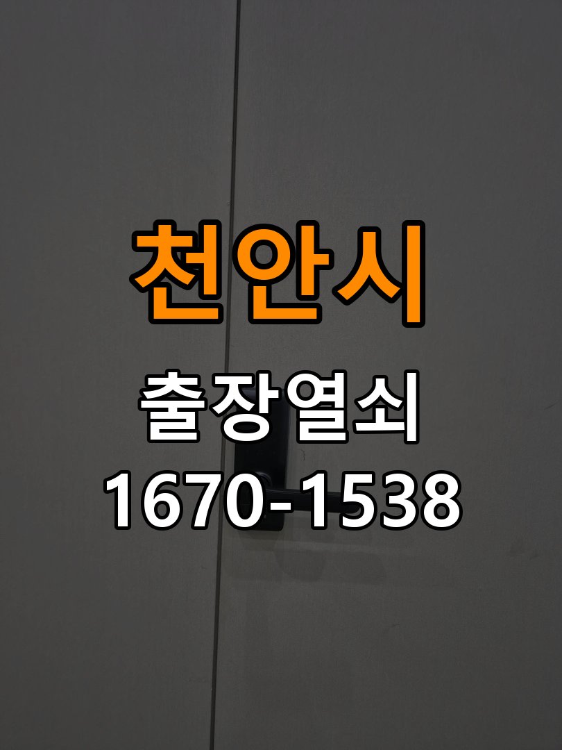 천안시 반지하 주택 푸시풀 도어락 손잡이가 복귀하지 않는 증상 점검 - 외관은 정상인데 작동이 안 될 때 점검 복귀 스프링과 손잡이 기구 정밀 점검 및 교체
