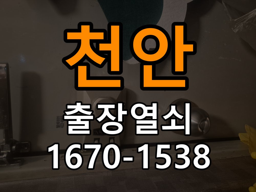 천안 다세대주택 욕실문 손잡이 녹과 부식으로 뻑뻑해지는 증상 - 증상이 간헐적으로 나타날 때 점검 작업 완료 후 정상 작동 확인