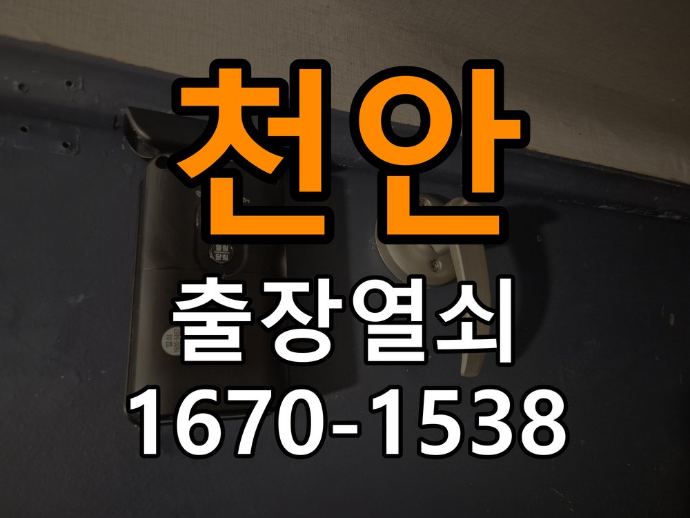 천안 현관문 보조키 열쇠 분실 키통 교체 특수 딤플키 실린더 보조키 교체 정밀 점검 및 교체