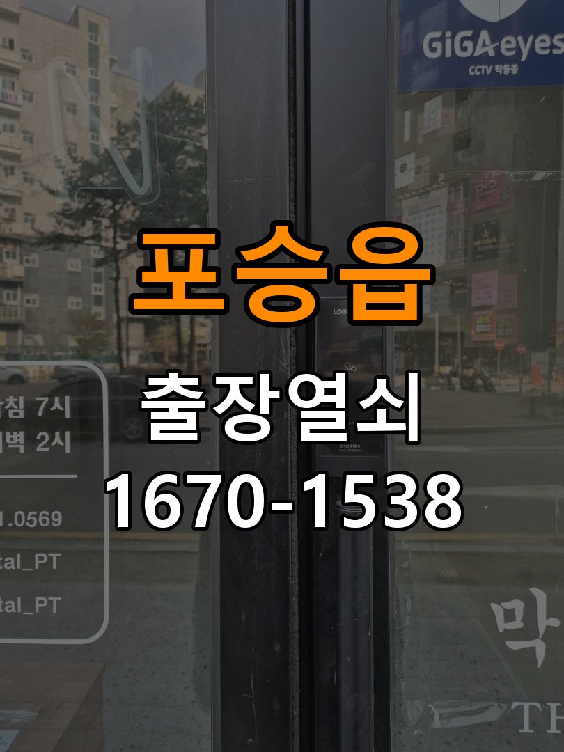 포승읍 창고 대문 개폐기 열쇠 고장 교체 AC 220V/DC 12V 호환 전자 대문 개폐기 정밀 점검 및 교체