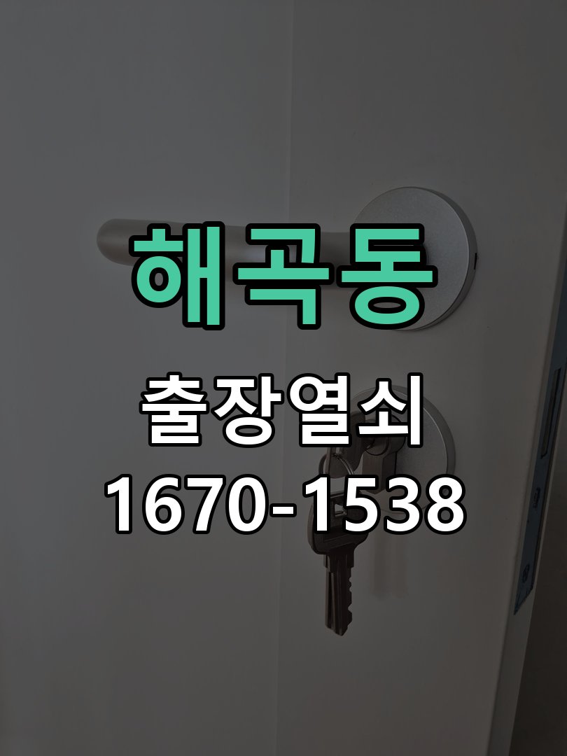 해곡동 열쇠 부러짐 키 실린더 교체 열쇠 구멍 안에서 키가 꺾여 부러진 채 박혀 문이 안 열림 현장 출장