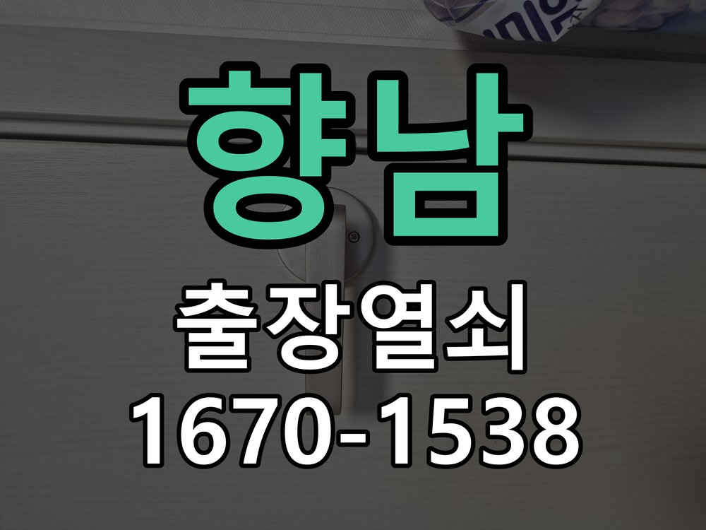 향남 보조키 특수키 안전고리 추가 설치 특수 핀 실린더 보조키 및 빗장형 고급 안전고리 정밀 점검 및 교체