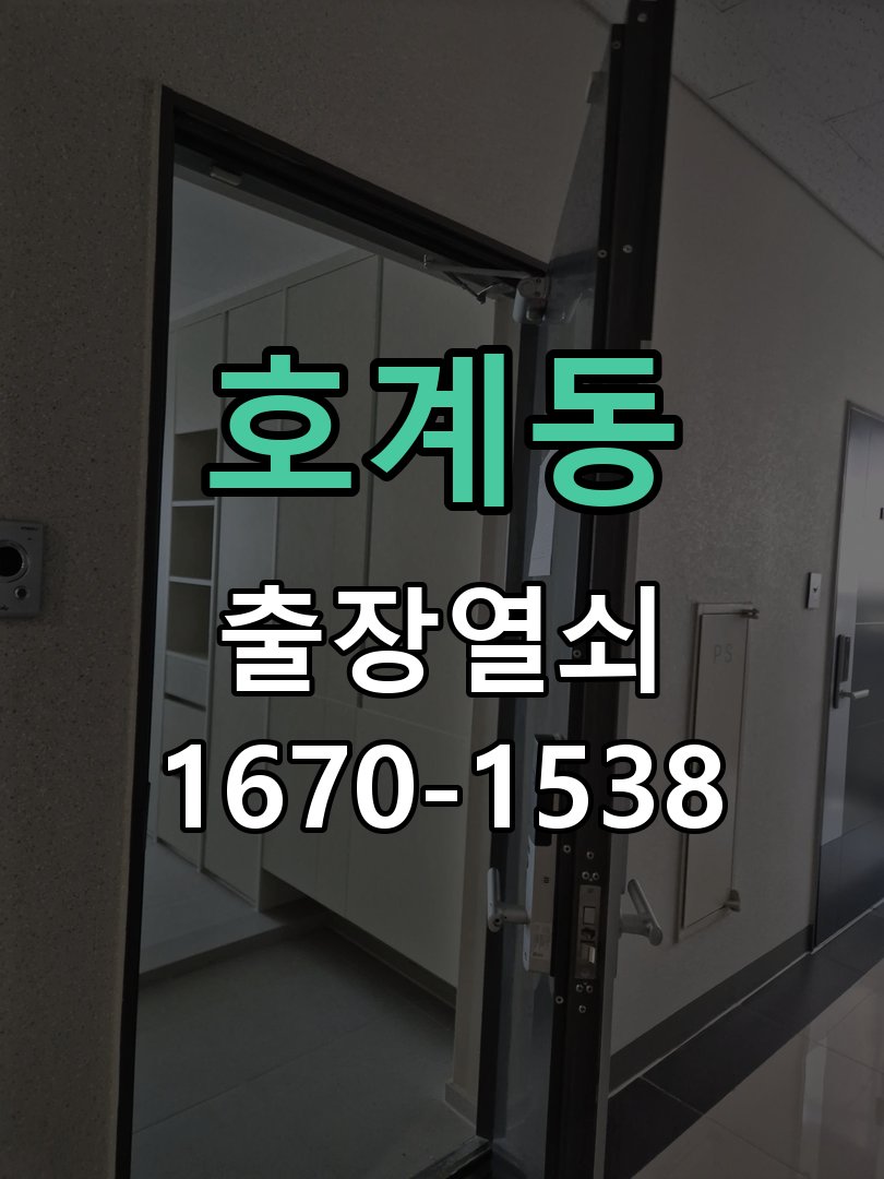 호계동 외출 중 도어락 방전 편의점 9V 건전지 응급대처 귀가 후 도어락 불이 전혀 들어오지 않아 집에 들어가지 못함 현장 출장