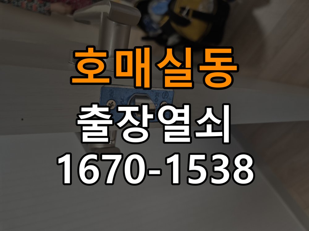 호매실동열쇠 빌라 보조키 안전고리 이상 시 대처법 참고 사진 1