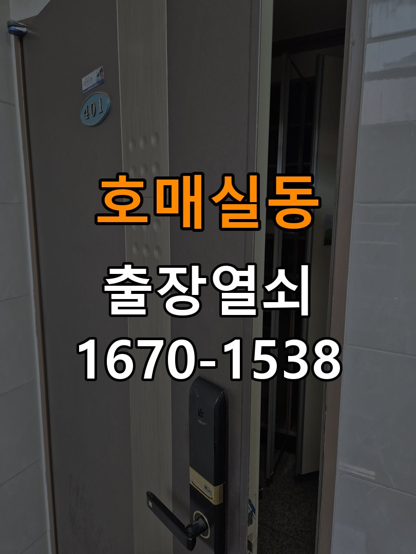 호매실동열쇠 빌라 보조키 안전고리 이상 시 대처법 참고 사진 3