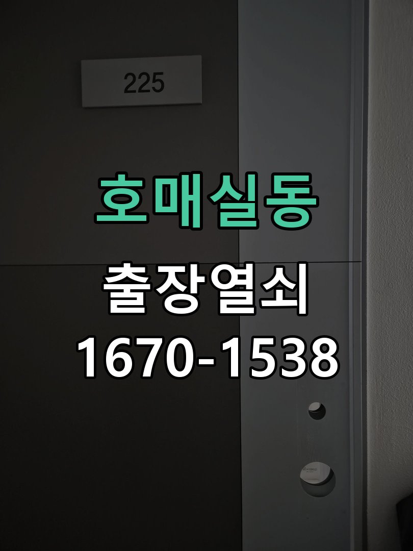 호매실동 상가 셔터키 자물쇠 고장 출장 수리 작업 완료 후 정상 작동 확인